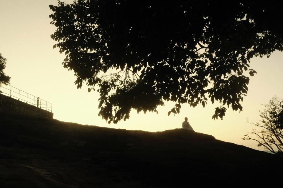 cruise image
