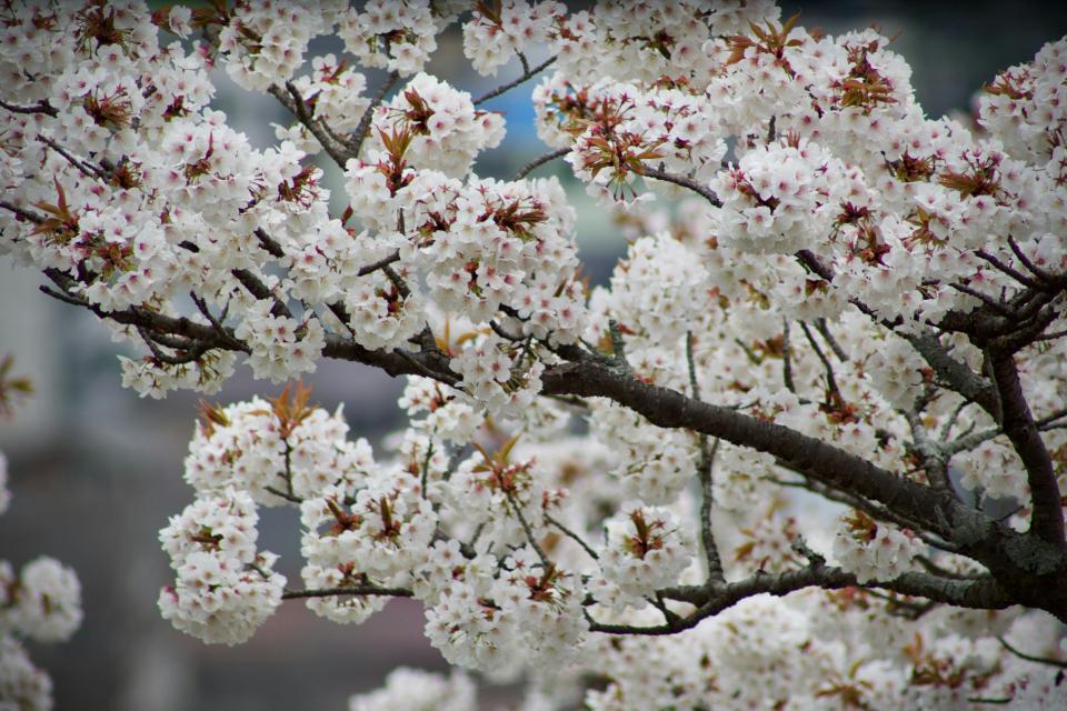 8 Image 8