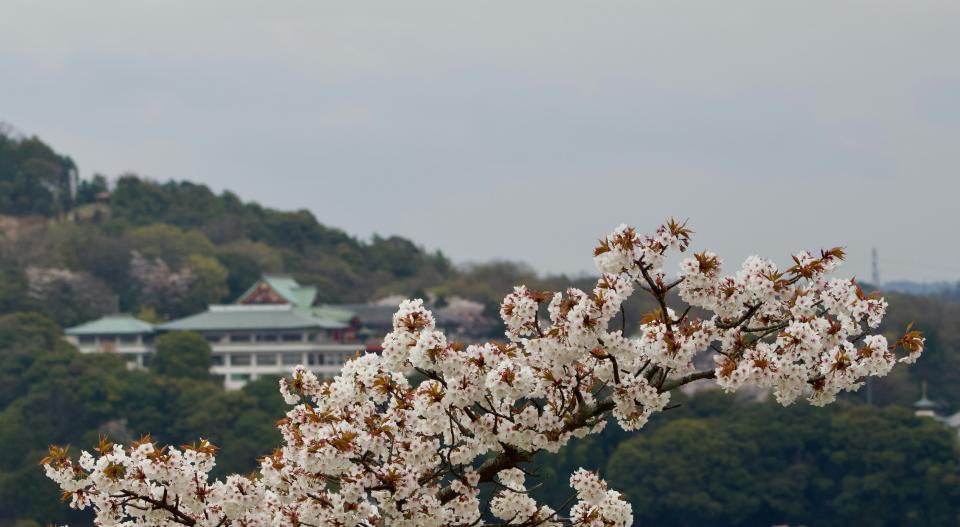 10 Image 10