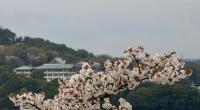 10 Image 10