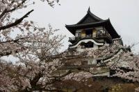 7 Image 7