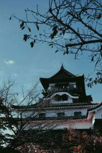 31 Image 31