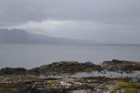10 Image 10