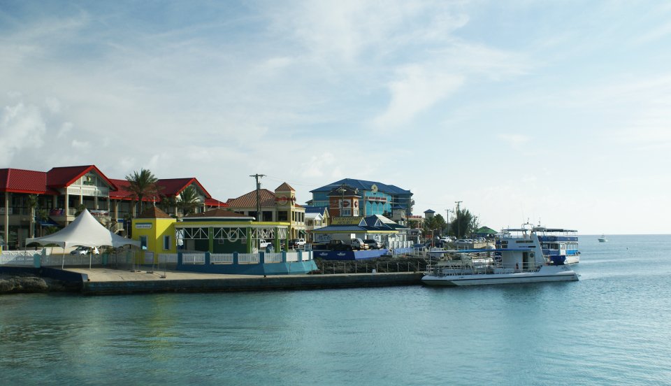 12 Image 12