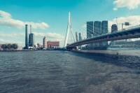 Rotterdam cruise port