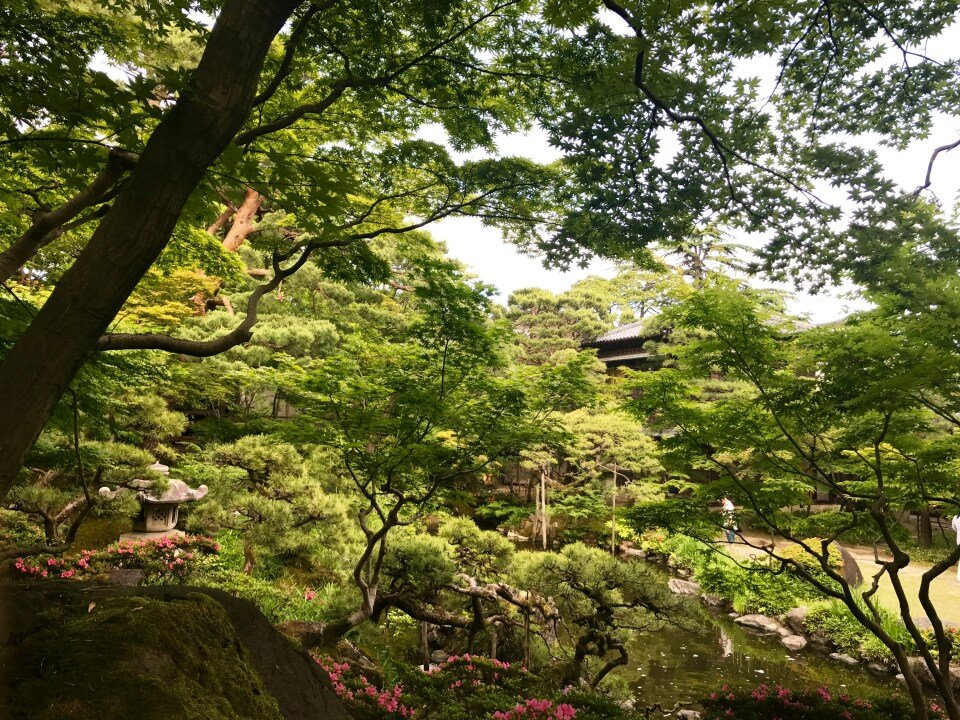 12-Day Harvest Horizons: Japan's Coastal Charms