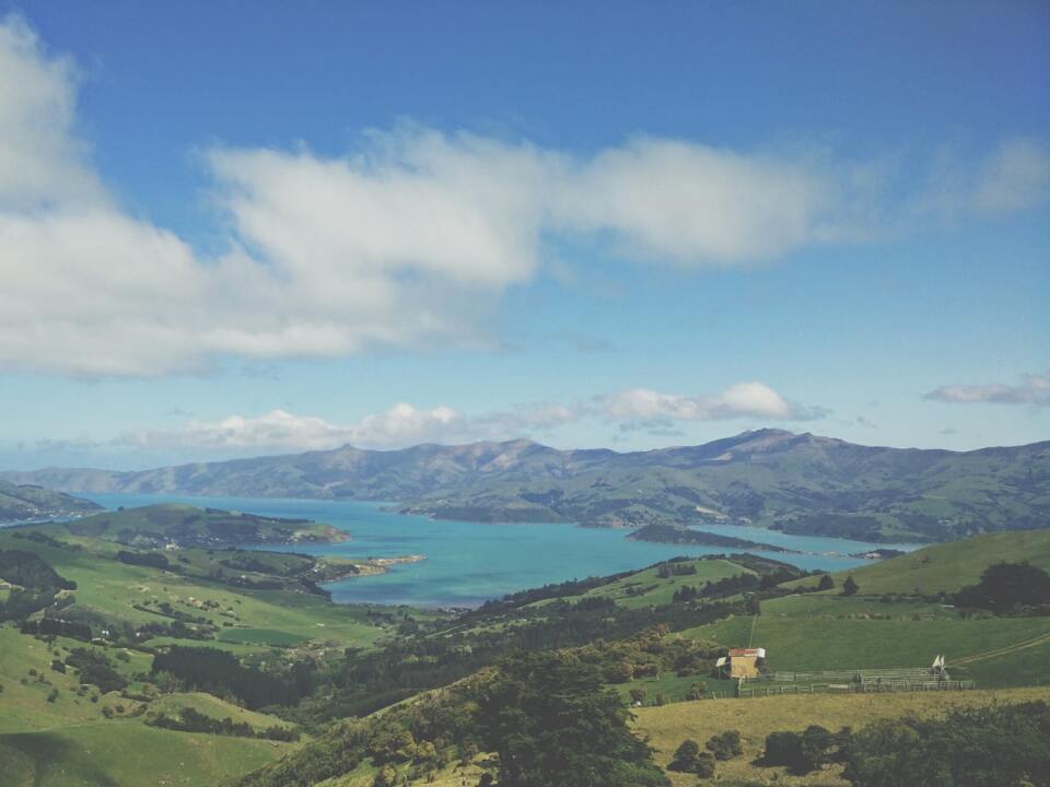 Akaroa cruise port