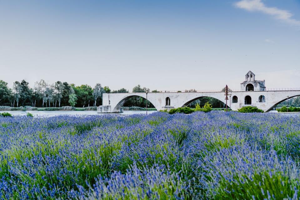 Avignon cruise port