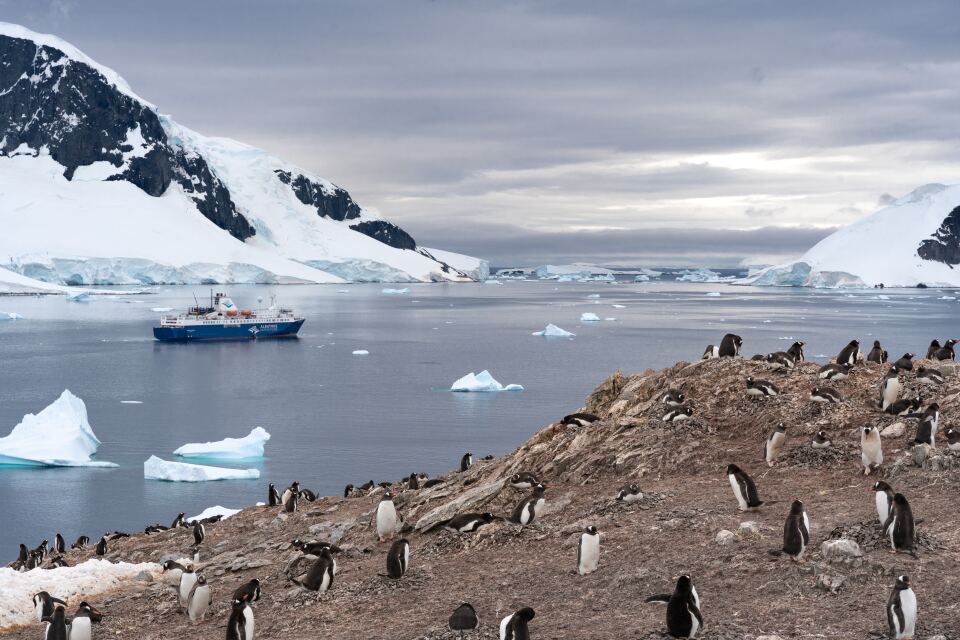 Antarctic Peninsula cruise port