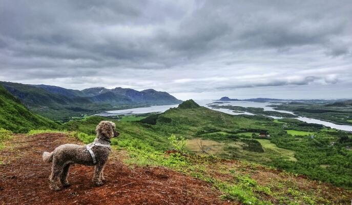 Autumn Splendours: From Lofoten to the Norwegian Fjords