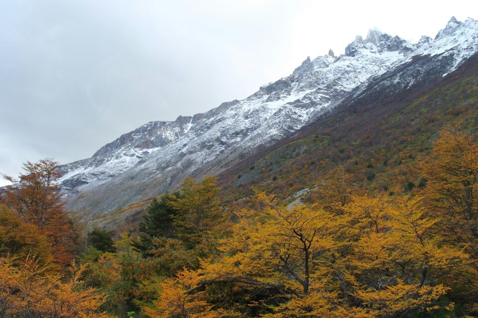 Patagonian Adventure with Antarctica, South Georgia - Cruise & Land Journey